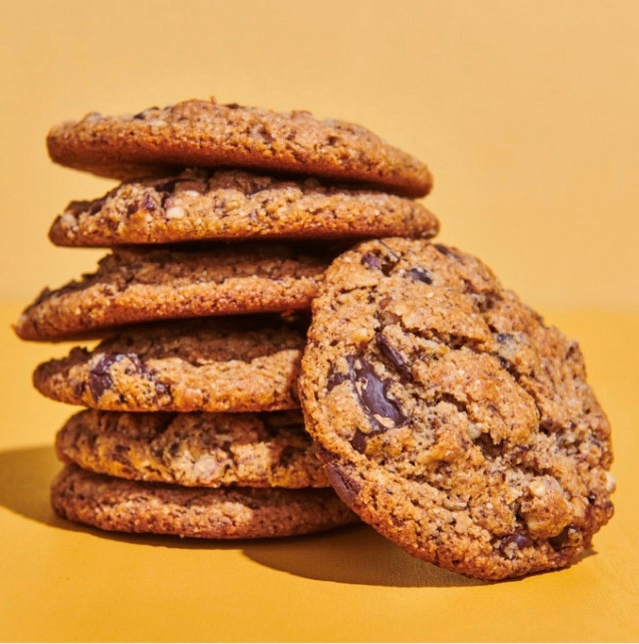 Salted Chocolate Chunk Cookies (6)