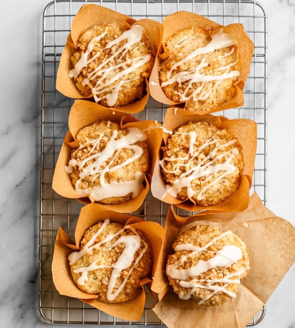 Muffin Box (6) - Lemon Poppy